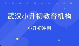 武汉小升初最新爆料,揭秘2023年升学政策与热门学校竞争态势